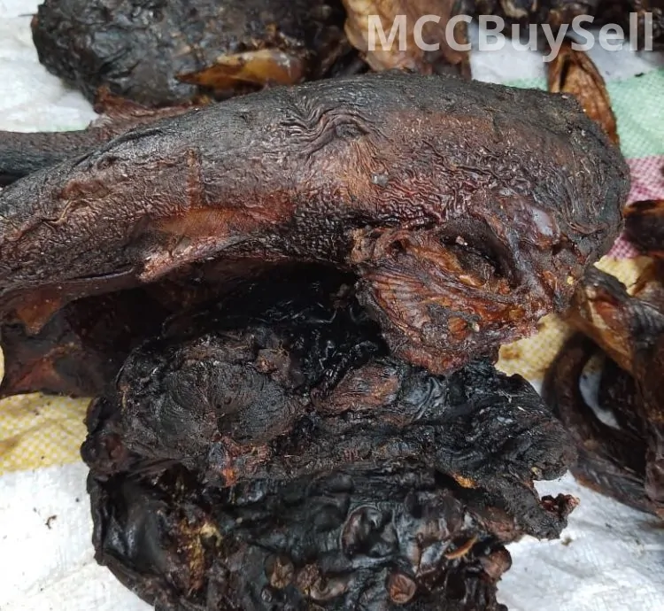 Smoked, Dried SharkFish For Sale