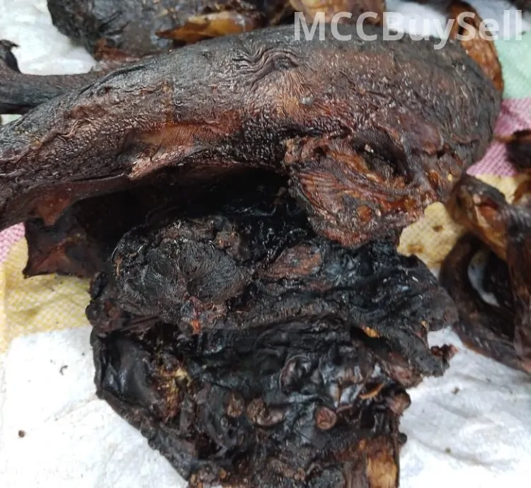 Smoked, Dried SharkFish For Sale