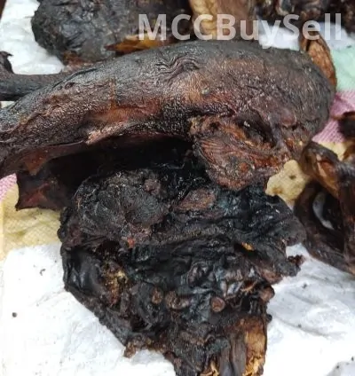 Smoked, Dried SharkFish For Sale