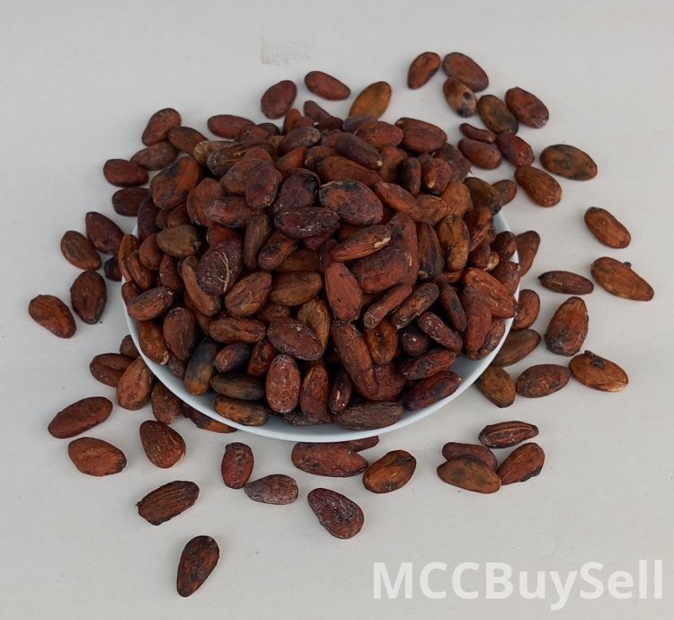 Cocoa Beans Whole Sun-dried & Fermented