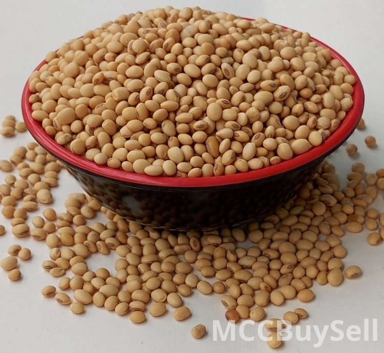 Soya Beans Sun-dried Whole & Organically Grown