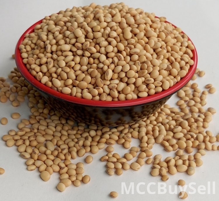 Soya Beans Sun-dried Whole & Organically Grown