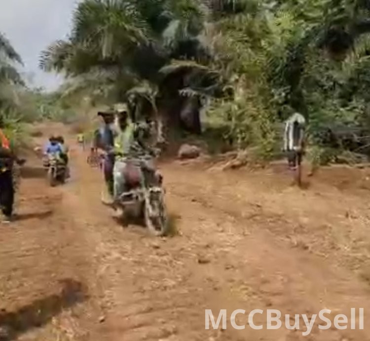 Plots Available in Buea Attractive Accessible Locations