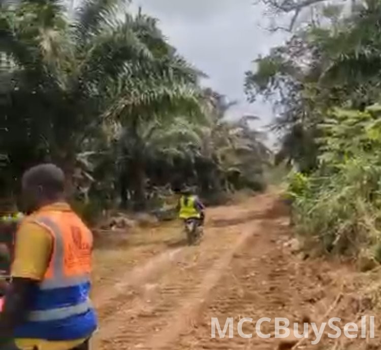 Plots Available in Buea Attractive Accessible Locations