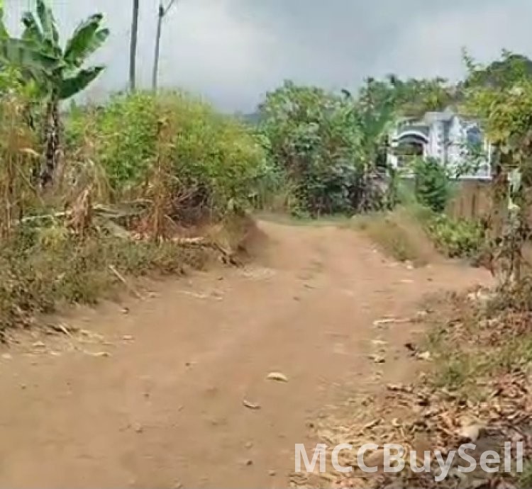 Plots Available in Buea Attractive Accessible Locations