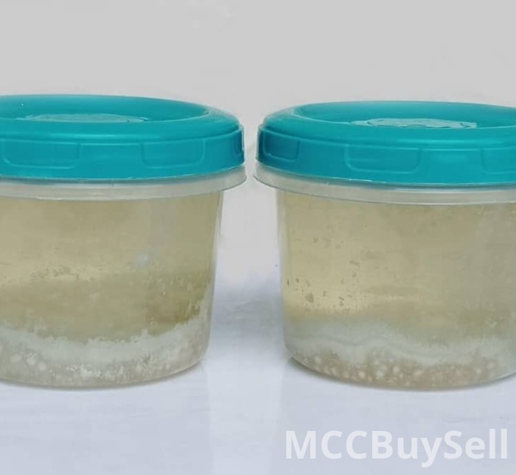 Coconut Oil Natural Virgin for Cooking and Skincare