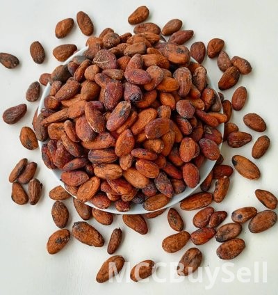 Fermented & Sun-dried Whole Cocoa Beans