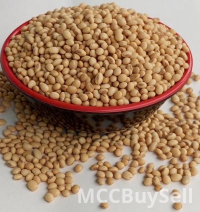 Soya Beans Sun-dried Whole & Organically Grown