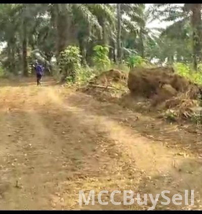 Plots Available in Buea Attractive Accessible Locations