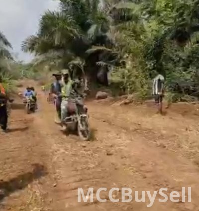 Plots Available in Buea Attractive Accessible Locations 3