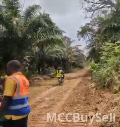 Plots Available in Buea Attractive Accessible Locations