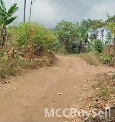 Plots Available in Buea Attractive Accessible Locations