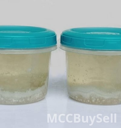 Coconut Oil Natural Virgin for Cooking and Skincare