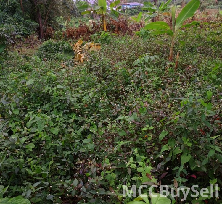 Plot available in batoke attractive accessible location