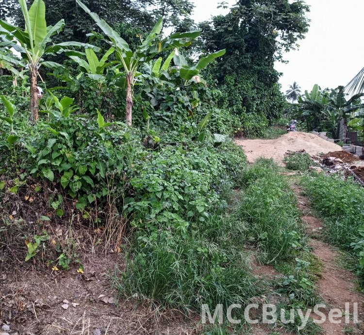 Plot available in batoke attractive accessible location