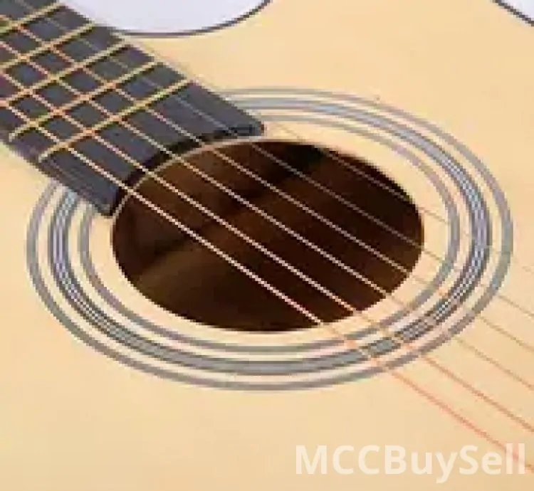 Professional Essential Complete Acoustic Guitar Starter Kit