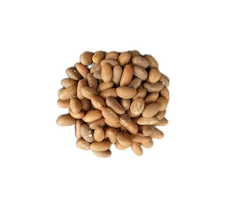 Bitter kola Nut / Garcinia kola/ 15L: 199.80