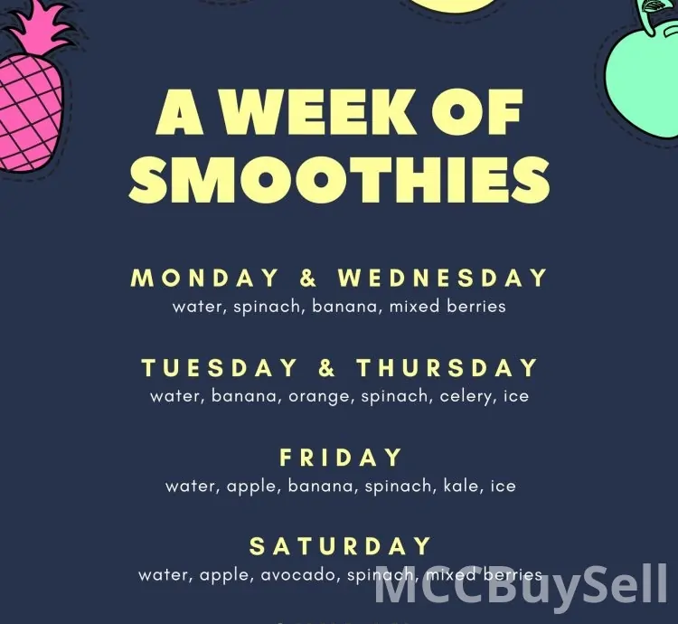 Best Vectors Creators