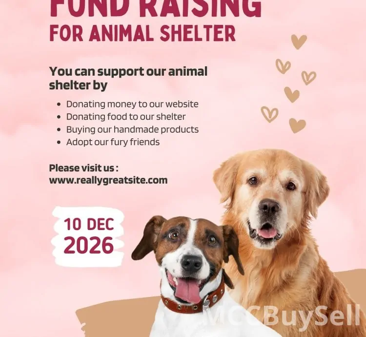 Download a Special Animals World and Shelters Video