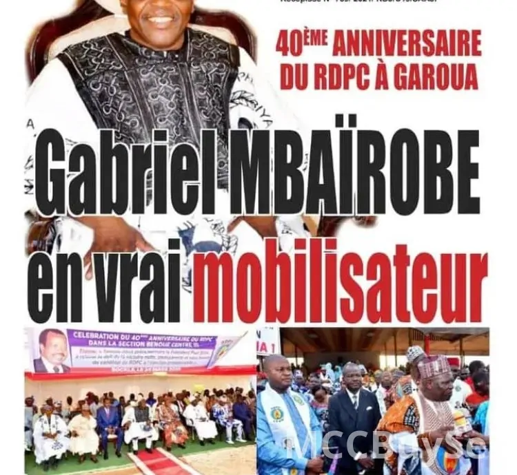 News Updates From Cameroon's Print Media