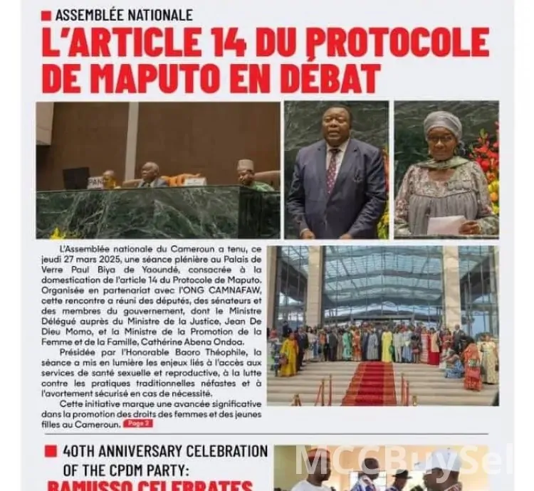 News Updates From Cameroon's Print Media