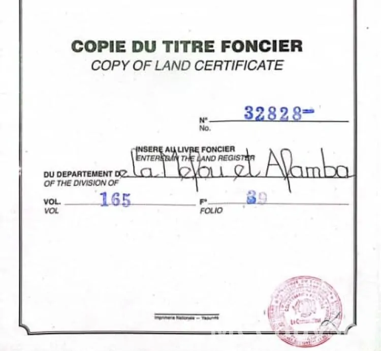 Titled Land at Ebang, Soa - Yaounde for Sale, Attractive & Accessible