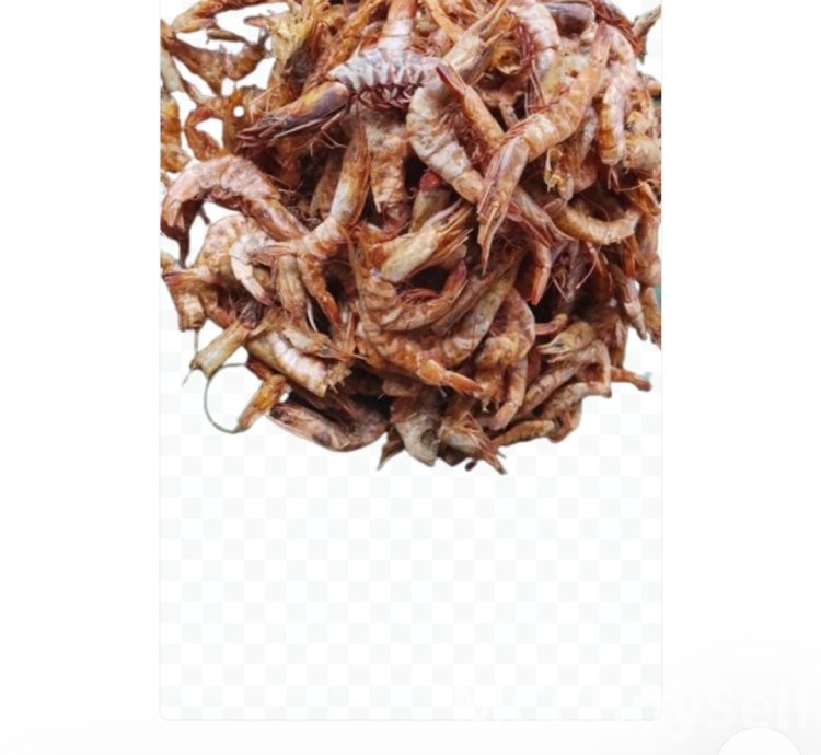 Assorted Crayfish: Small Grain and Big Grain Options