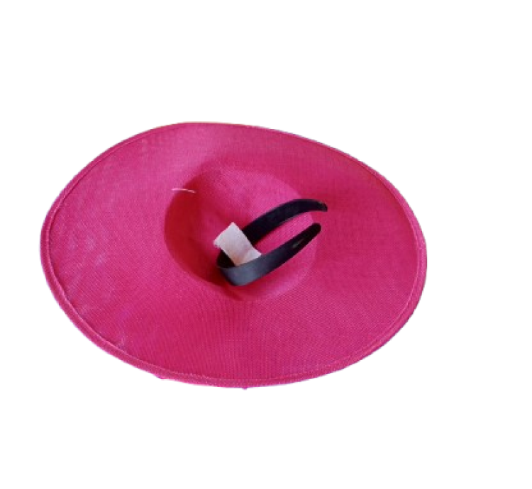 Ladies' beautiful Caps