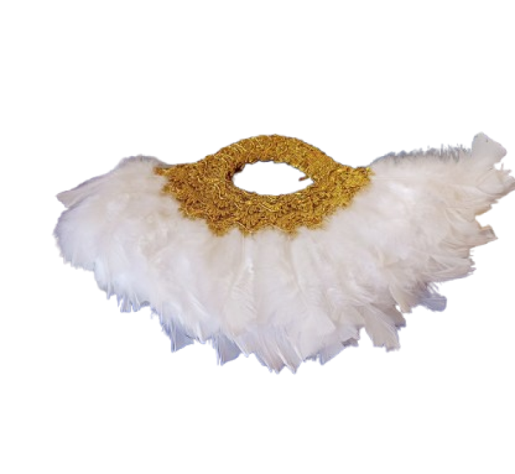 Feathered fancy fans