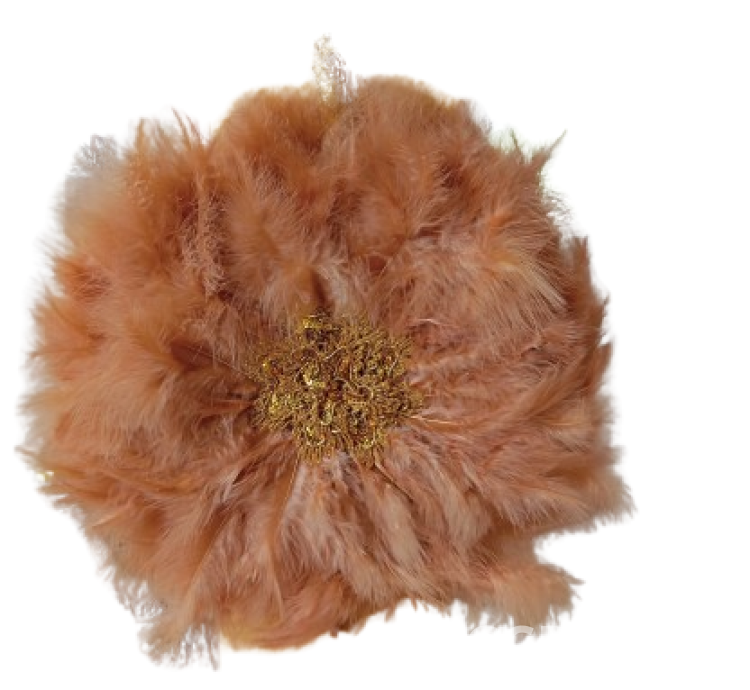 Feathered fancy fans