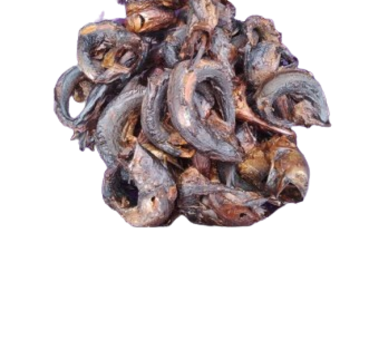 Assorted Smoked Fish and Crayfish Varieties Available