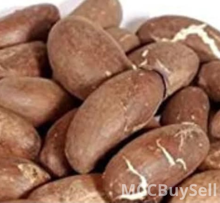 HEALTH BENEFITS OF BITTER KOLA(GARCINIA)