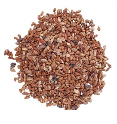 Sun-Dried Cocoa beans