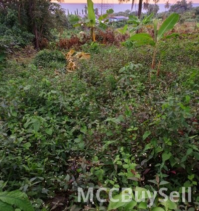 Plot available in batoke attractive accessible location