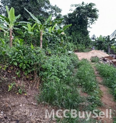 Plot available in batoke attractive accessible location
