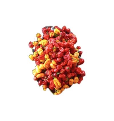 Hot Cameroon Pepper/ 50kg   100.4