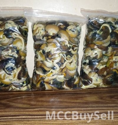 Dried Snails Co.