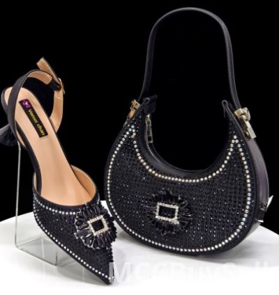 Ladies' Handbag & Shoe, Classic Set Collection 6