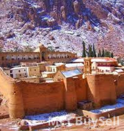 Travel, Enjoy Arabian Night In SHARM EL SHEIKH Egypt 3