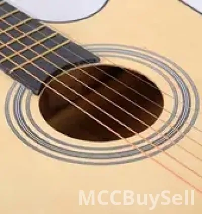 Professional Essential Complete Acoustic Guitar Starter Kit 3