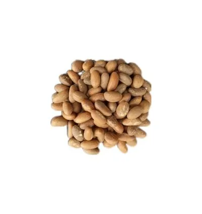 Bitter kola Nut / Garcinia kola/ 15L: 199.80