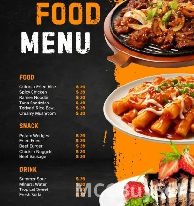 Best Vectors Creators