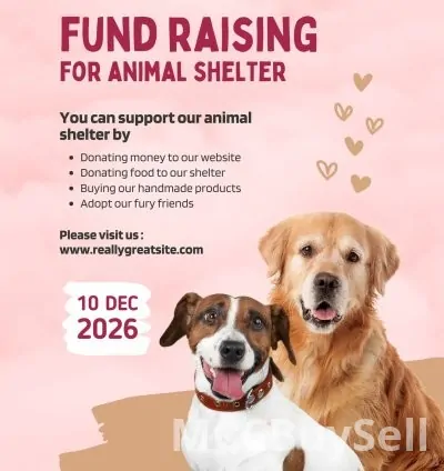 Download a Special Animals World and Shelters Video