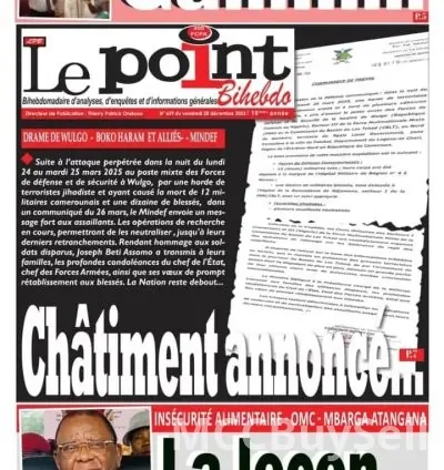 News Updates From Cameroon's Print Media 13