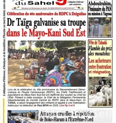 News Updates From Cameroon's Print Media 15