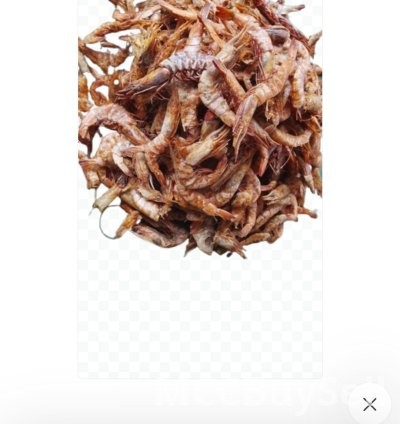 Assorted Crayfish: Small Grain and Big Grain Options 3