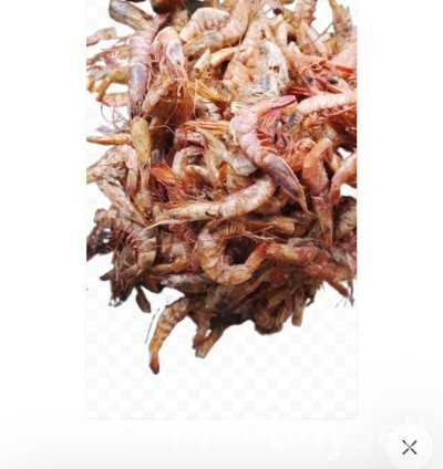 Assorted Crayfish: Small Grain and Big Grain Options