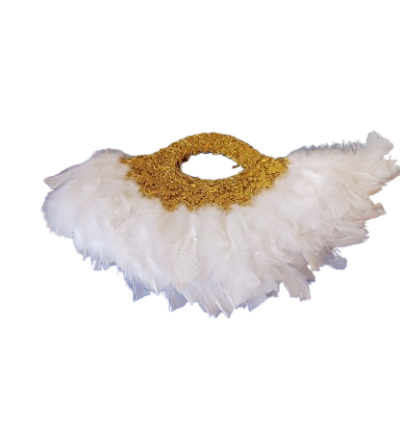 Feathered fancy fans