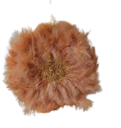 Feathered fancy fans