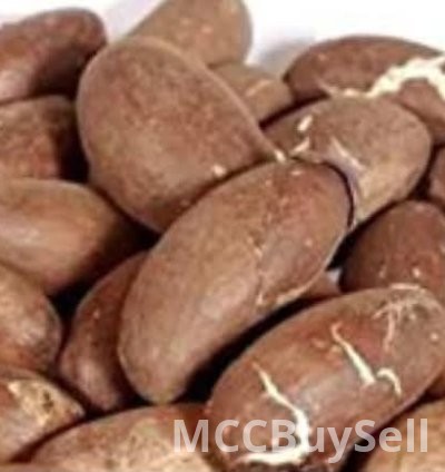 HEALTH BENEFITS OF BITTER KOLA(GARCINIA)